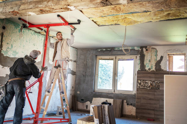 Best Eco-Friendly or Green Insulation Solutions  in Cobden, IL